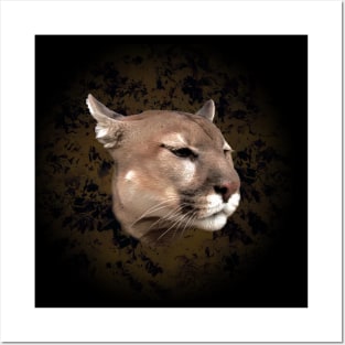 Mountain lion Posters and Art